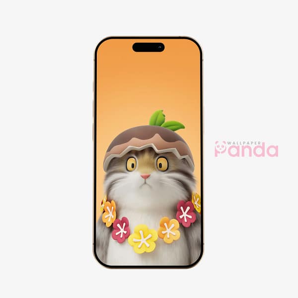 Pumpkin Hat DunDun Party Animals Phone Wallpaper