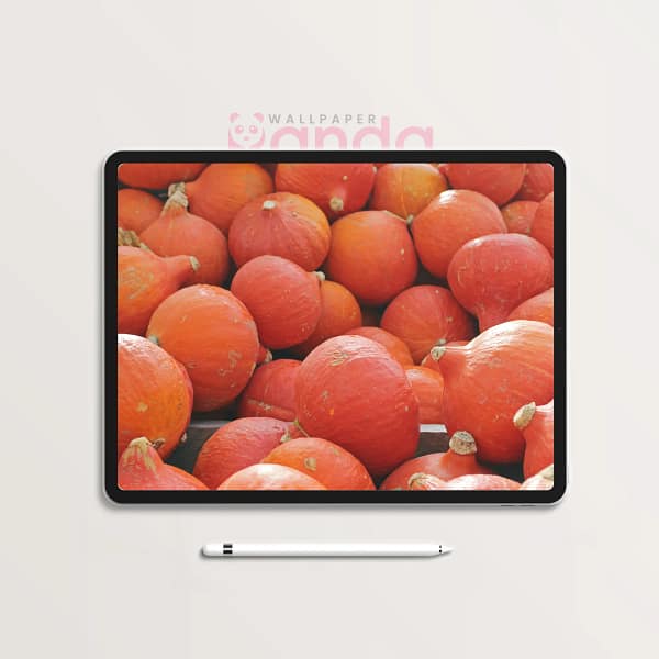 Golden Autumn Hokkaido Pumpkins Tablet Wallpaper