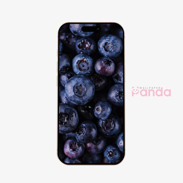 Luscious Blueberries Mobile Phone Wallpaper (18) Luscious Blueberries Mobile Phone Wallpaper