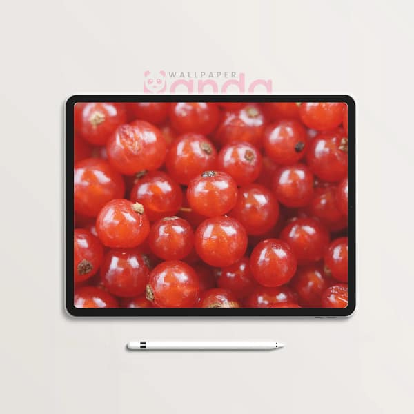 Luscious Ruby Redcurrant Tablet Wallpaper