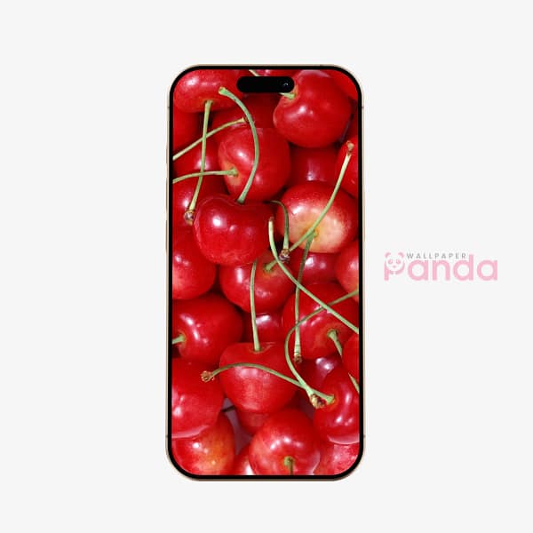 Lush Purple Grapes Mobile Phone Wallpaper (9) Lush Purple Grapes Mobile Phone Wallpaper