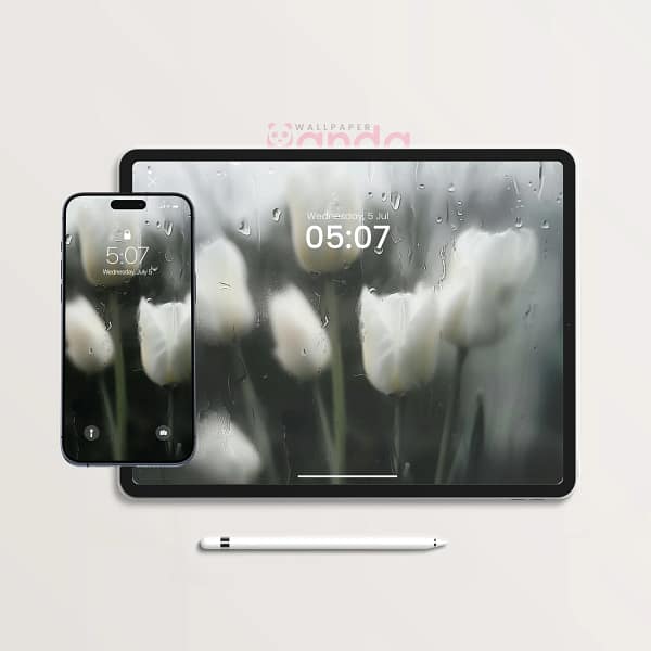 Rain-Streaked White Tulips 2-in-1 Wallpaper